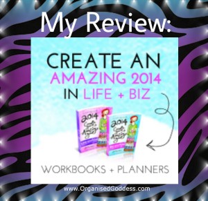 My Review - Leonie Dawson's 2014 Amazing Life and Business workbooks