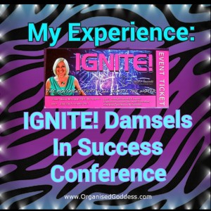 Organised Goddess - My Experience at IGNITE Damsels In Success conference November 2013
