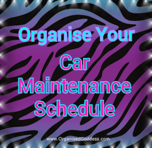 Organise Your Car Maintenance Schedule free download